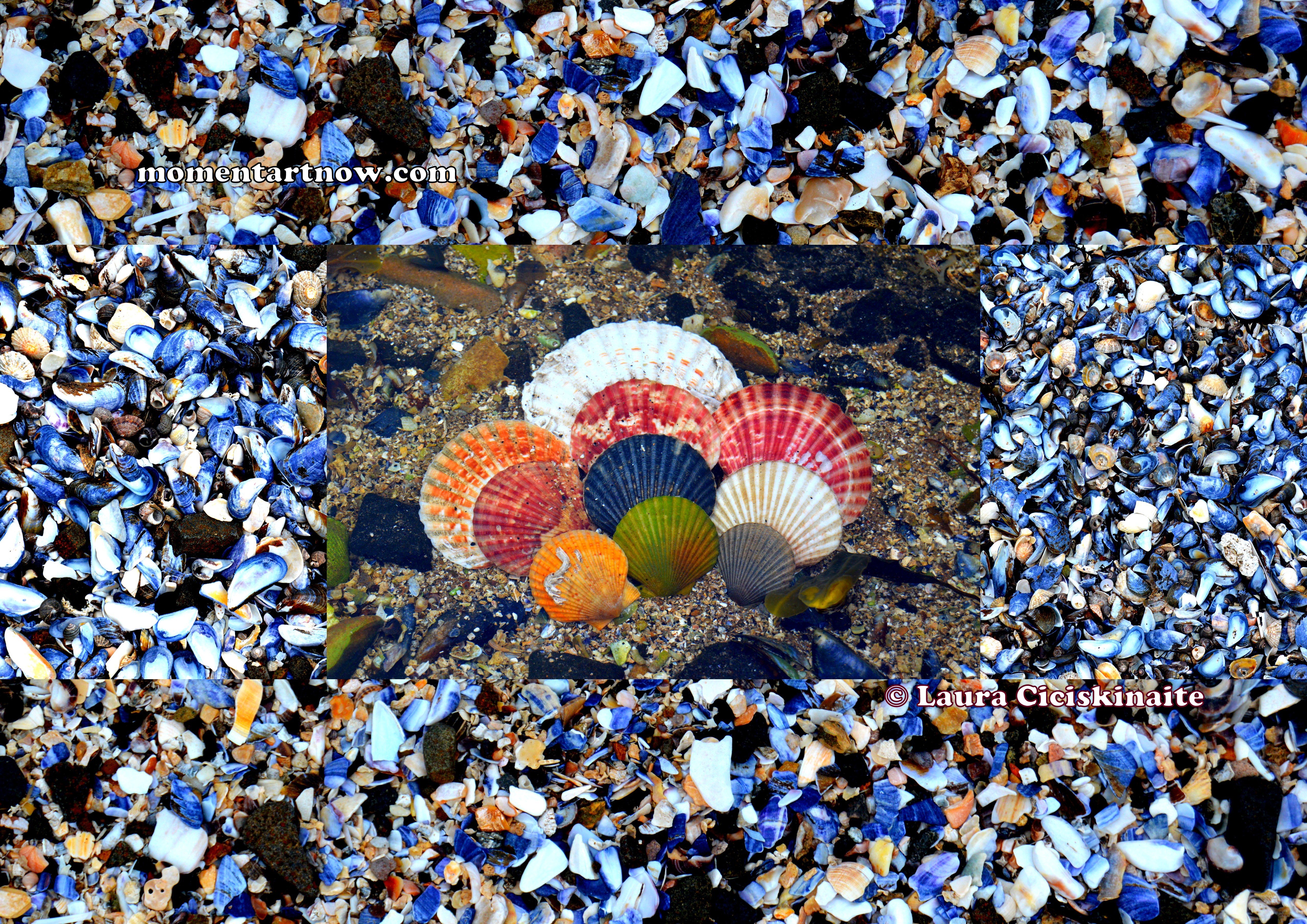 Life and Death Image