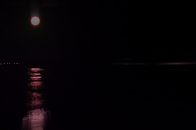 Pink moon