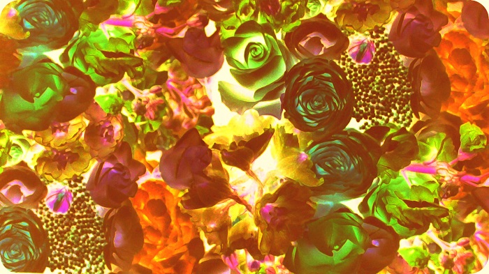 colours of life flowers