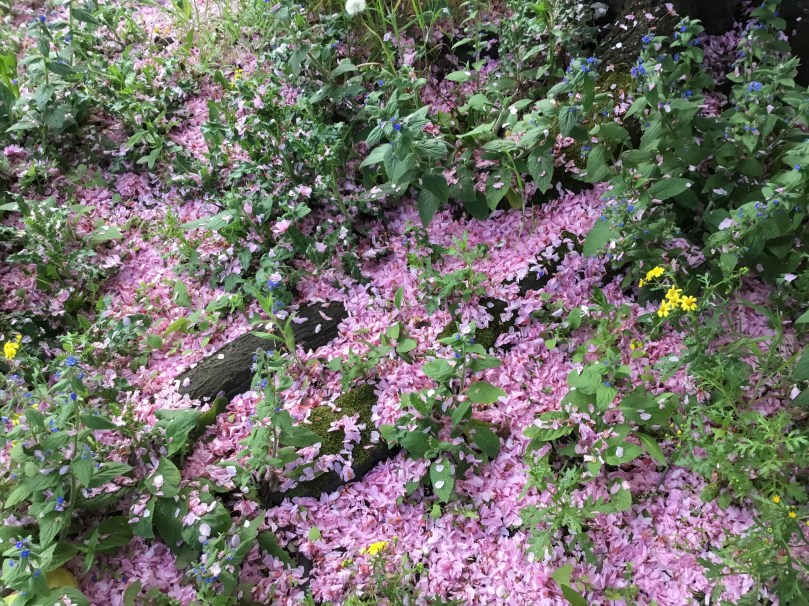 23352908-825B-49C0-9FEA-B67F9ADFFB7B