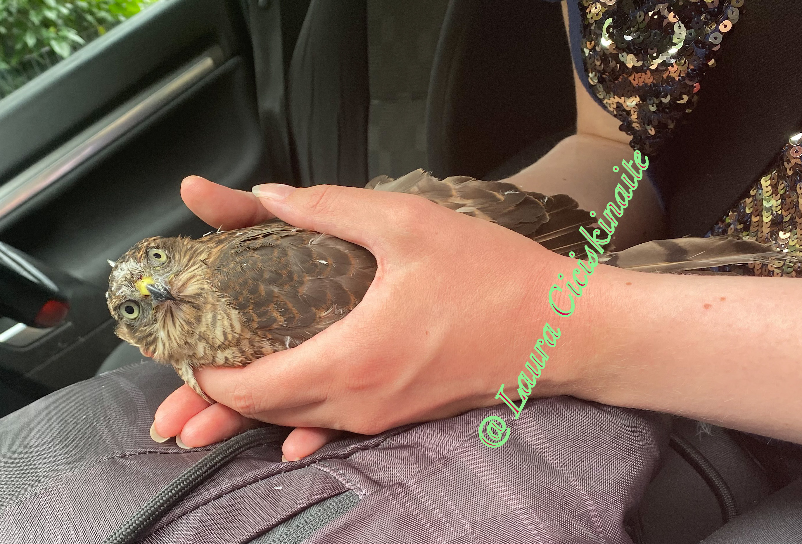 9F9F0CF4-A33E-4AB7-8821-6439A014ED2E