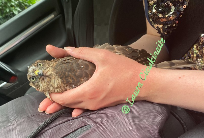 9F9F0CF4-A33E-4AB7-8821-6439A014ED2E